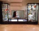 TPFL and TPF wall display cases with lights on