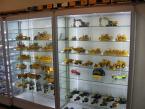 Miniature diggers display case