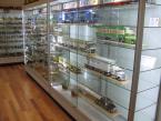 Model truck upright display cabinet