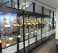 Museum Extra Large Wall Display Cabinets by Showfront