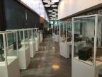 Museum Display Cabinets by Showfront