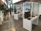Museum Display Cabinets by Showfront 1