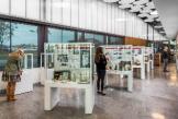 Shell Harbour Museum Display Cabinets by Showfront