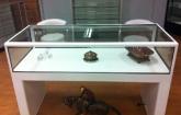 Museum Treasury Artifact Display Case by Showfront