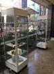 Museum Tower Display Cabinets by Showfront