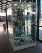 Shell Harbour Museum Display Cabinets by Showfront